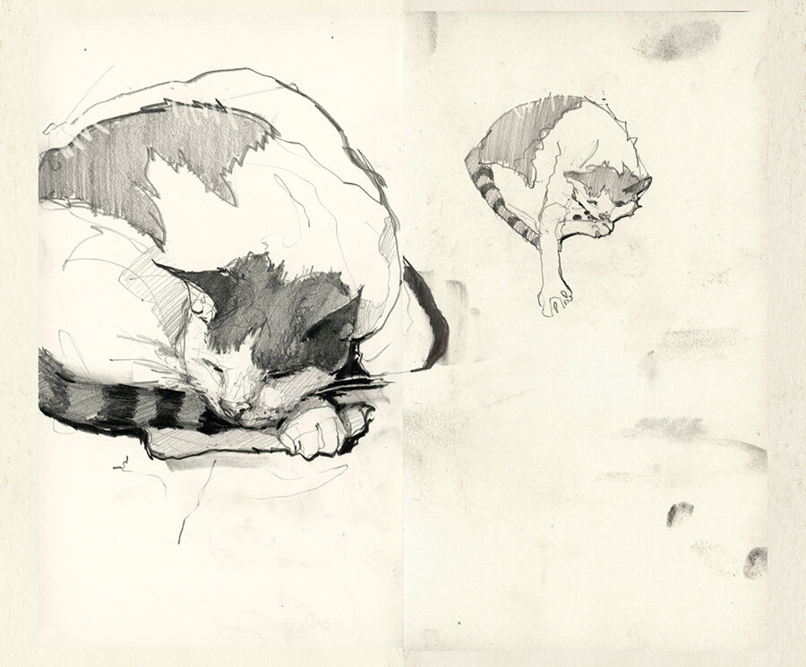 MANN vol. 2.7 The Sketchbooks II — Jeremy Mann